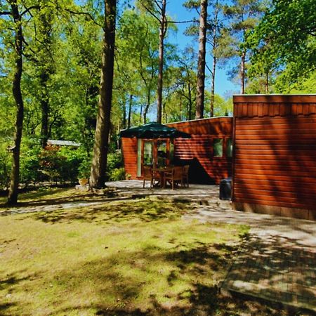 Willa Wooden Nature Chalet - Dennenrhode Doornspijk Zewnętrze zdjęcie