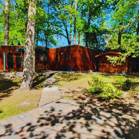 Willa Wooden Nature Chalet - Dennenrhode Doornspijk Zewnętrze zdjęcie