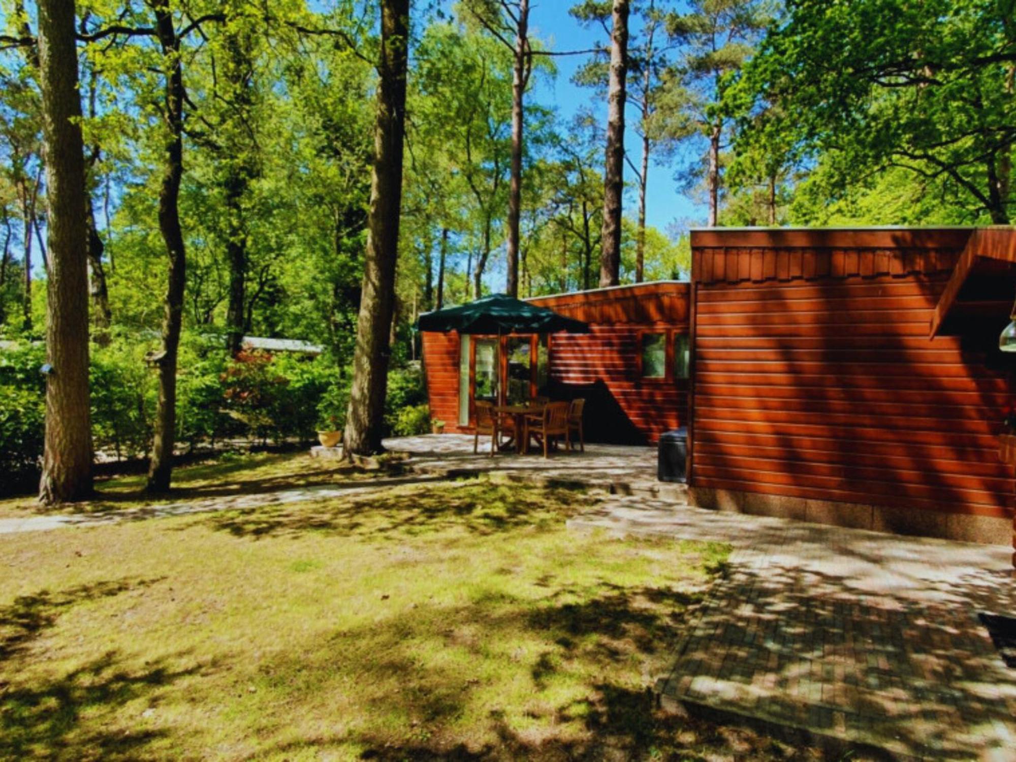 Willa Wooden Nature Chalet - Dennenrhode Doornspijk Zewnętrze zdjęcie