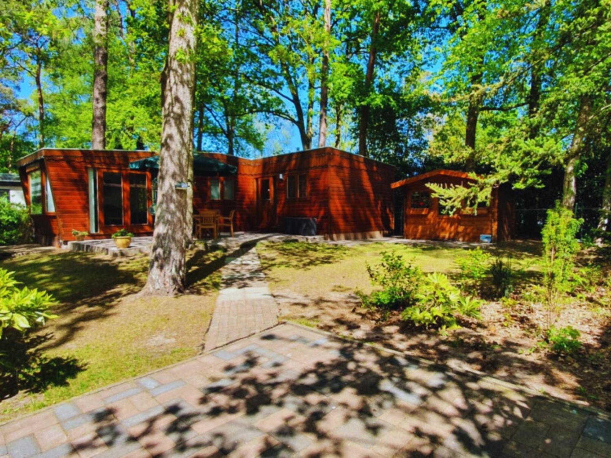 Willa Wooden Nature Chalet - Dennenrhode Doornspijk Zewnętrze zdjęcie